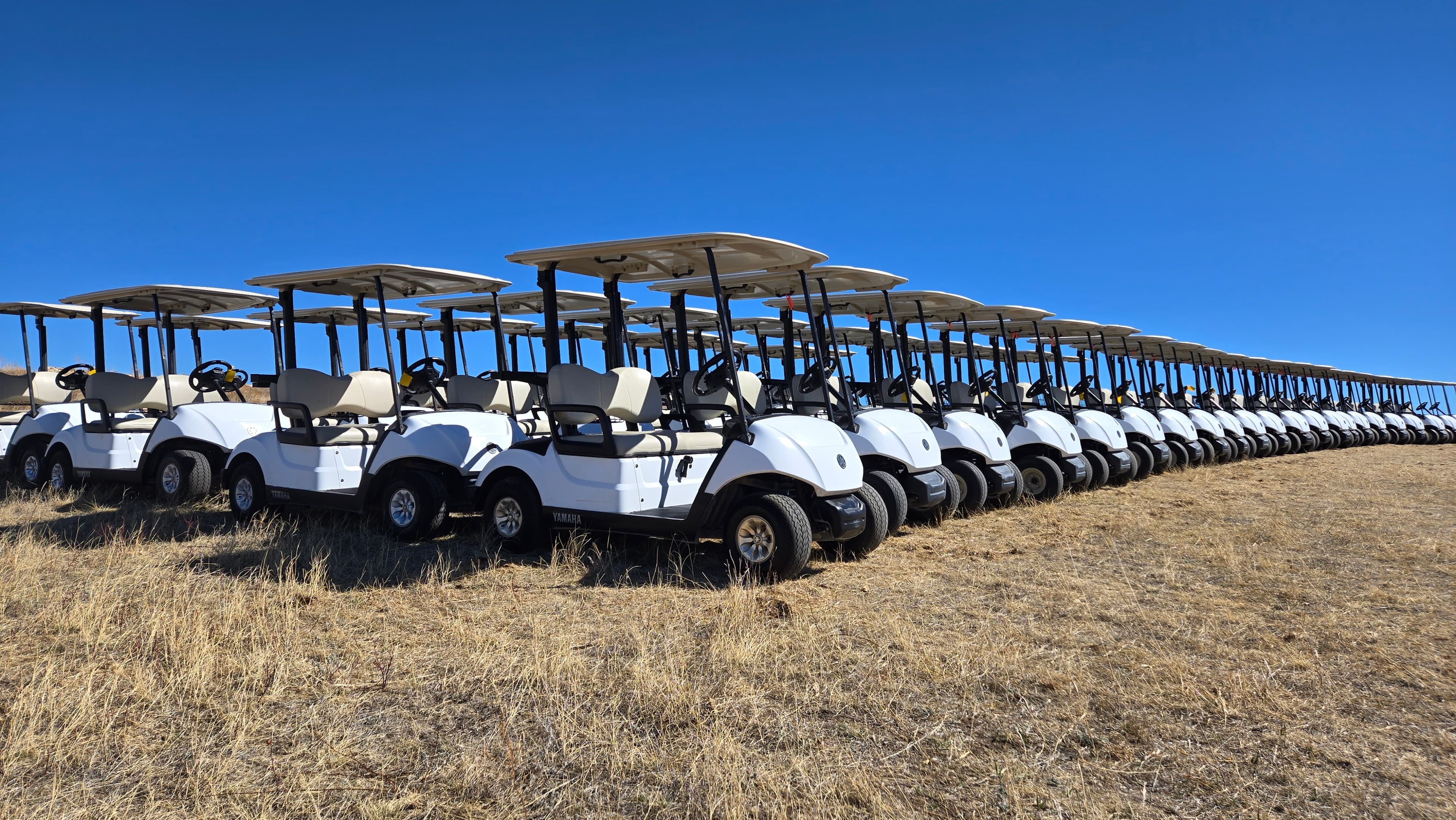 Wild Ranch golf carts available for delivery to Jellystone in Larkspur, CO
